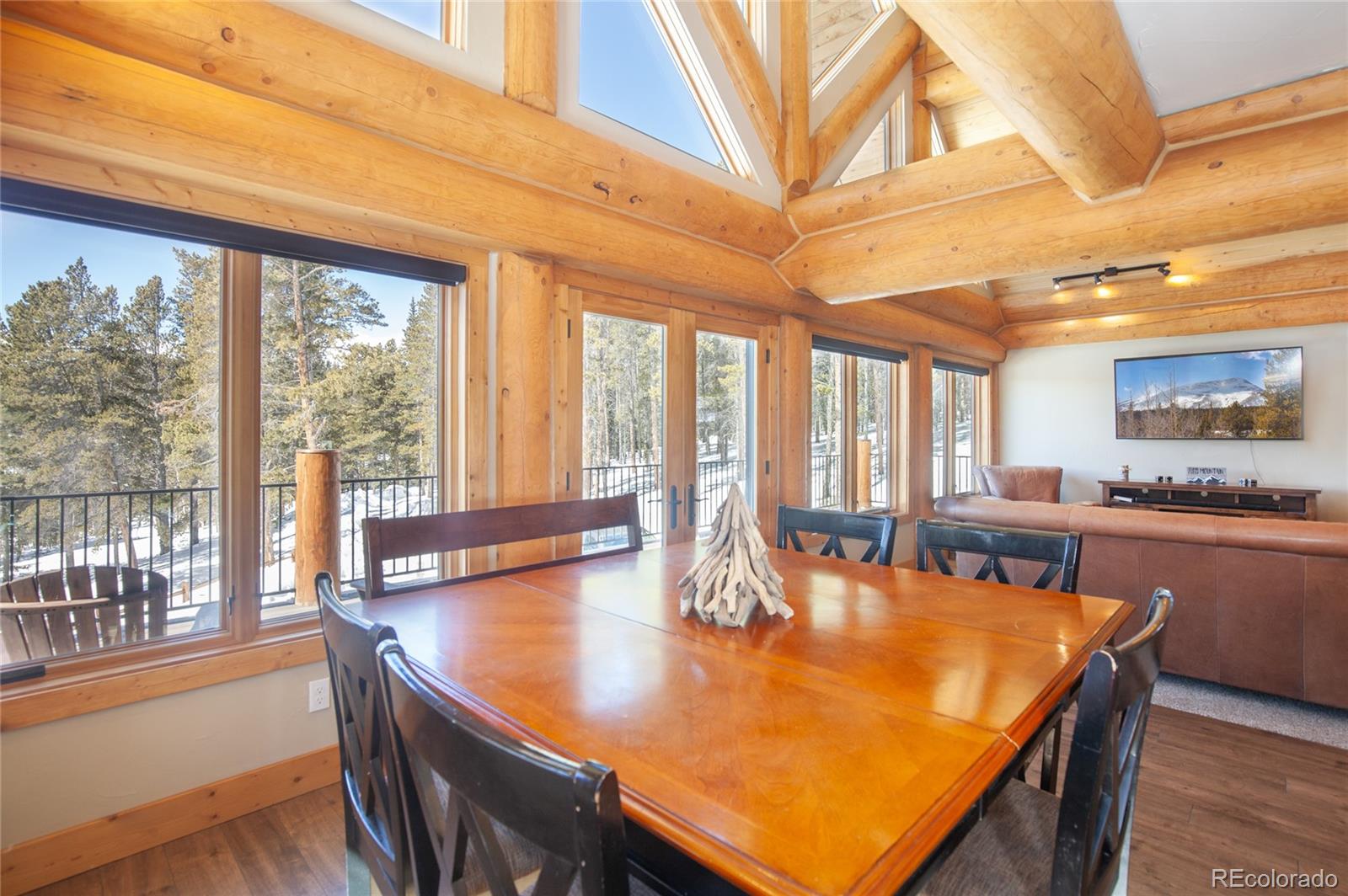 MLS Image #11 for 806  guymard road,fairplay, Colorado