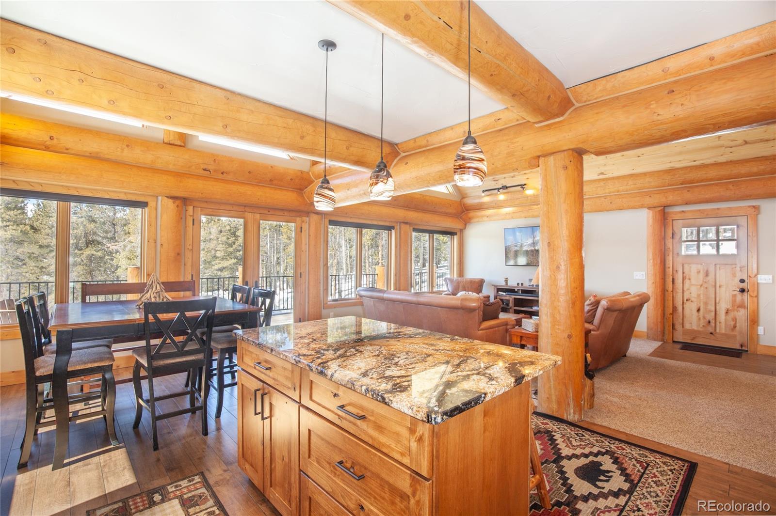 MLS Image #12 for 806  guymard road,fairplay, Colorado