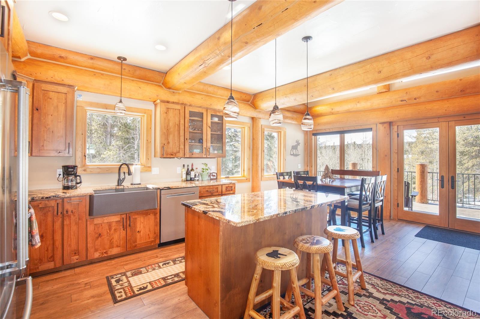 MLS Image #13 for 806  guymard road,fairplay, Colorado