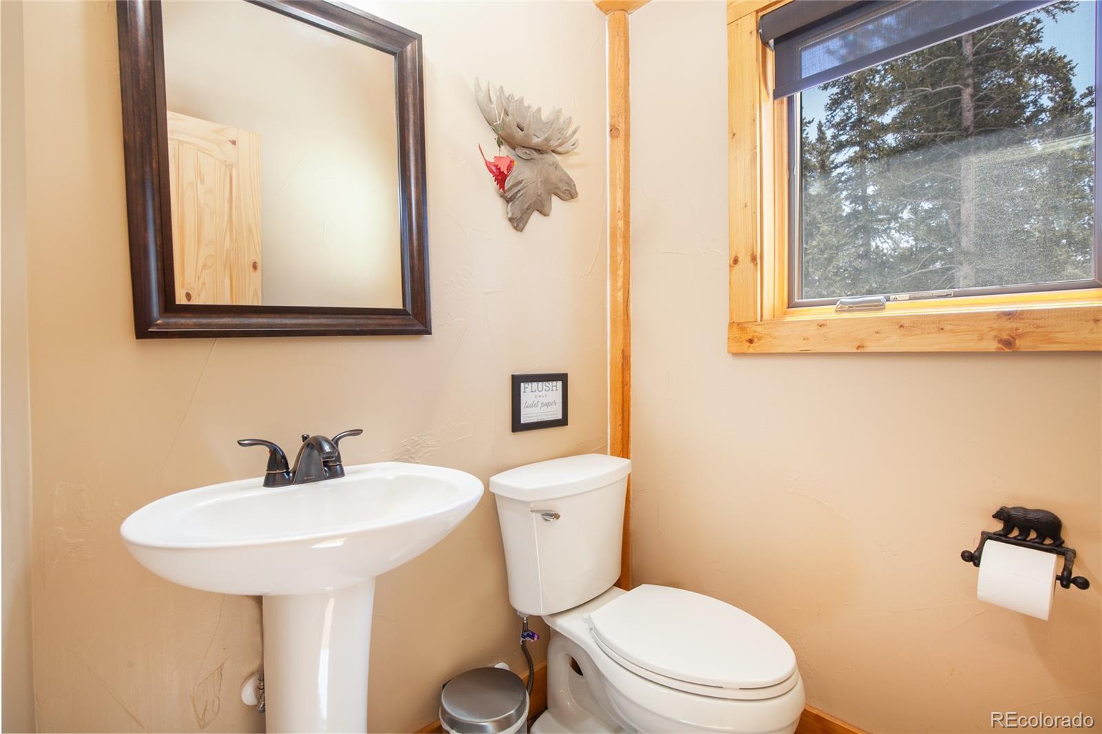 MLS Image #15 for 806  guymard road,fairplay, Colorado