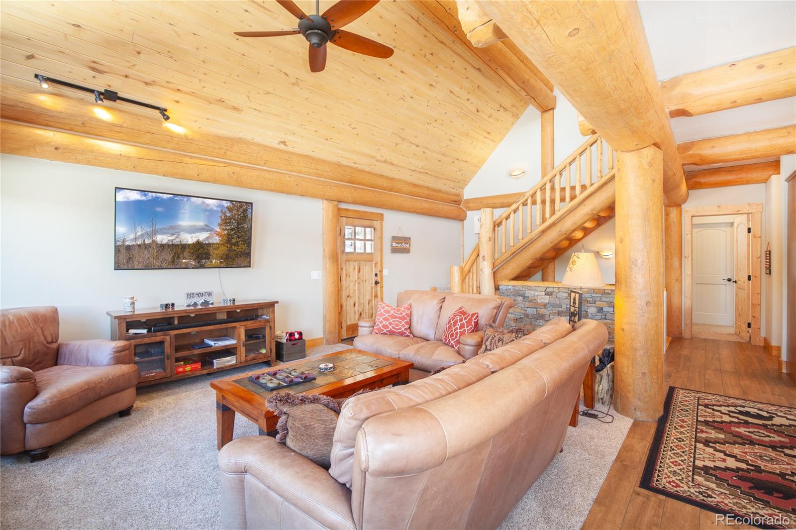 MLS Image #18 for 806  guymard road,fairplay, Colorado