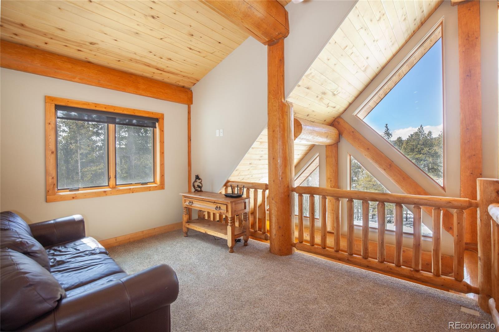 MLS Image #21 for 806  guymard road,fairplay, Colorado