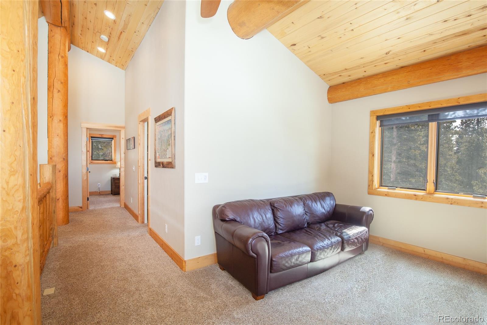 MLS Image #22 for 806  guymard road,fairplay, Colorado