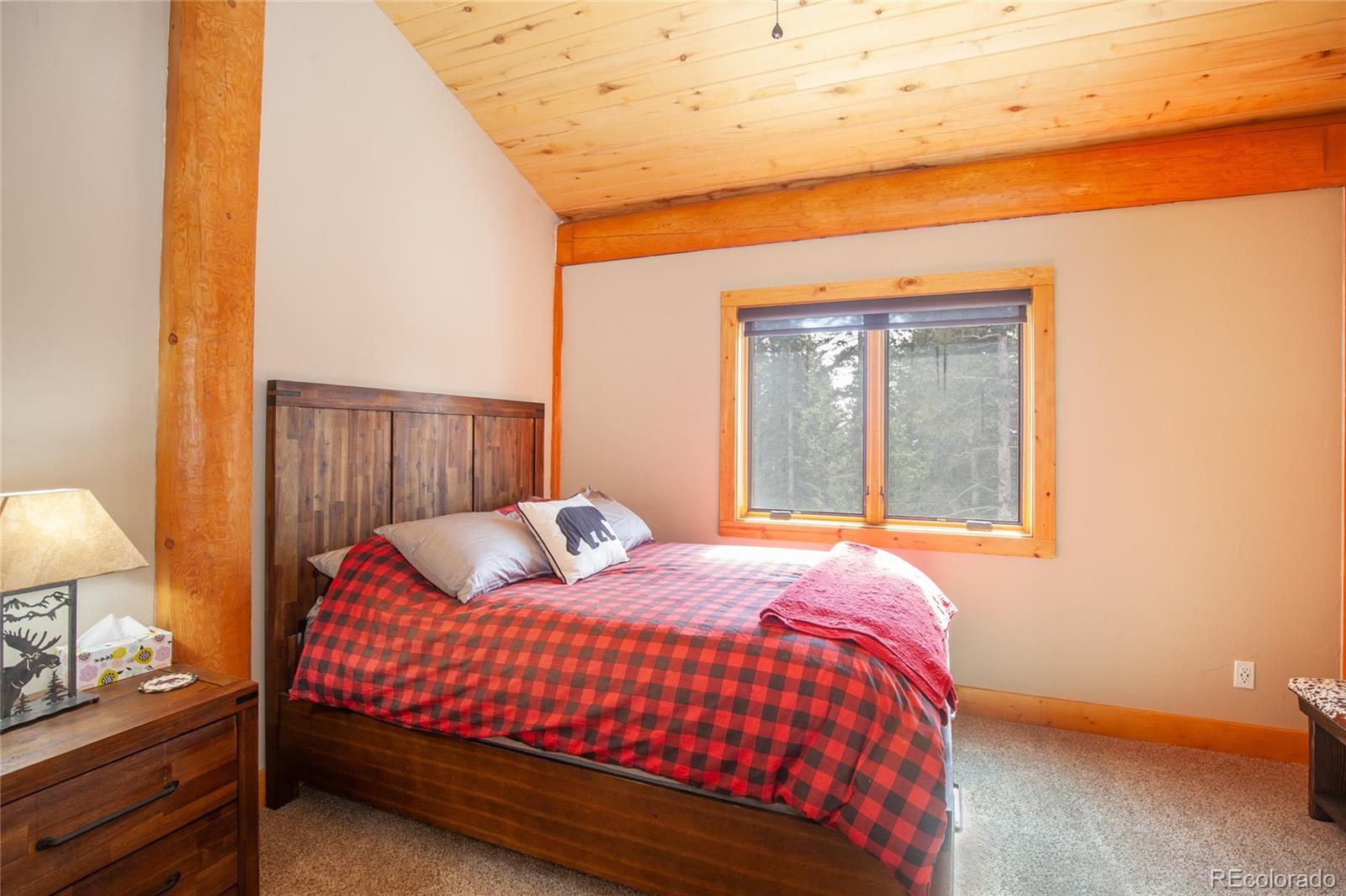 MLS Image #23 for 806  guymard road,fairplay, Colorado