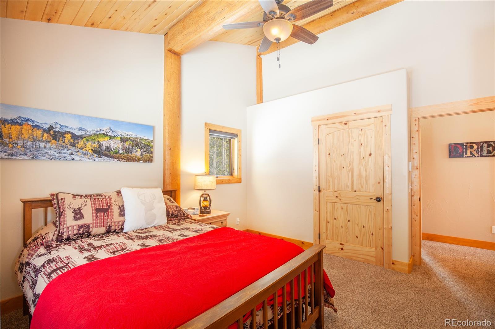 MLS Image #25 for 806  guymard road,fairplay, Colorado