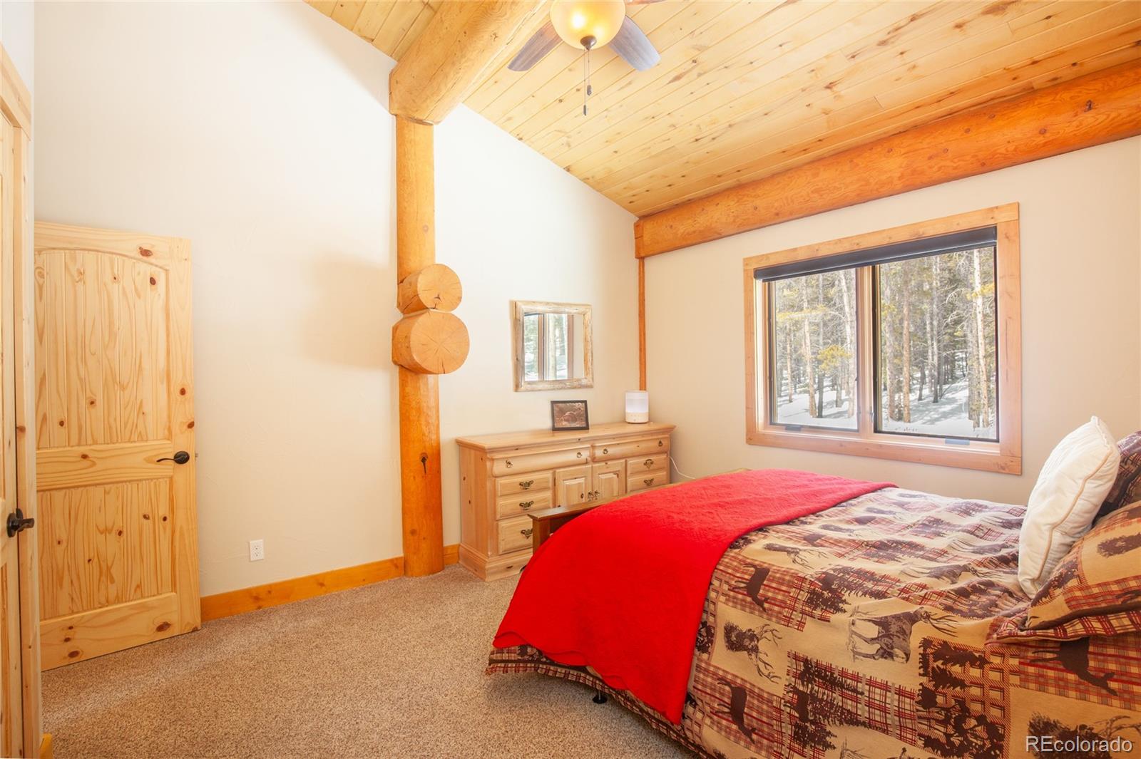 MLS Image #26 for 806  guymard road,fairplay, Colorado