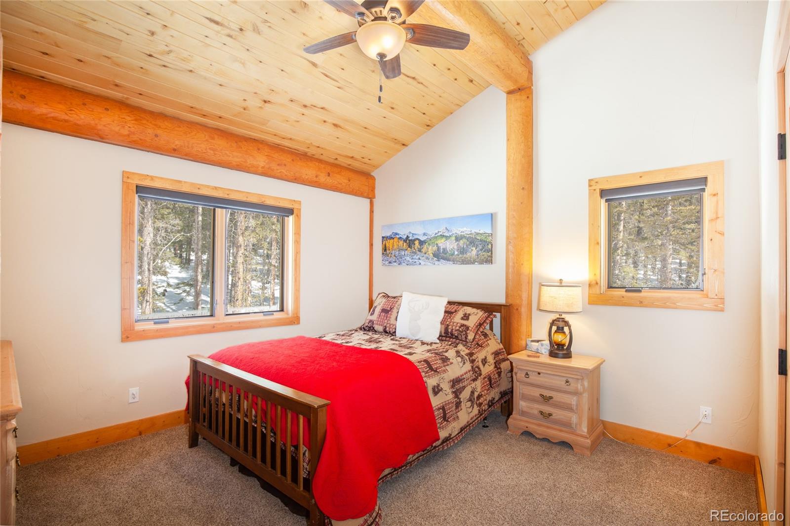 MLS Image #27 for 806  guymard road,fairplay, Colorado