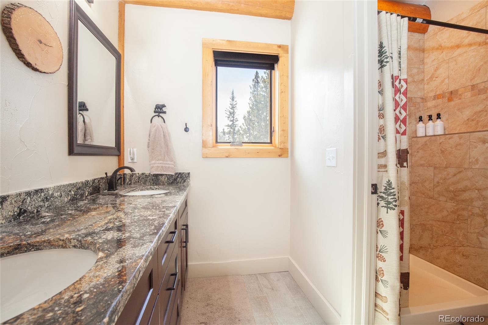 MLS Image #28 for 806  guymard road,fairplay, Colorado