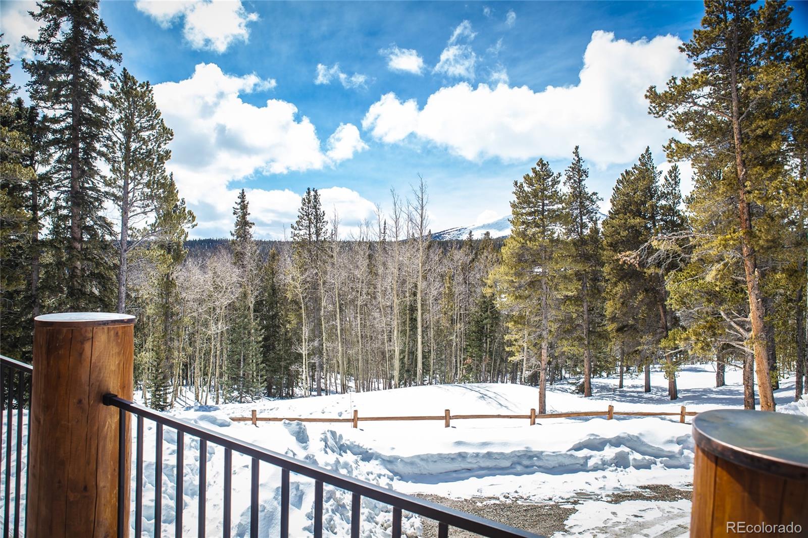 MLS Image #43 for 806  guymard road,fairplay, Colorado