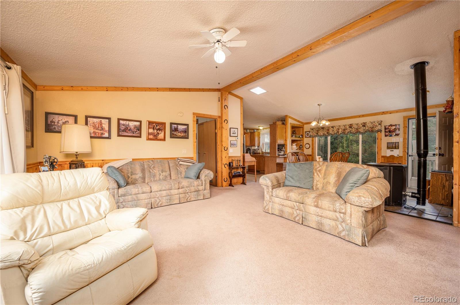 MLS Image #10 for 45  knight lane,cotopaxi, Colorado