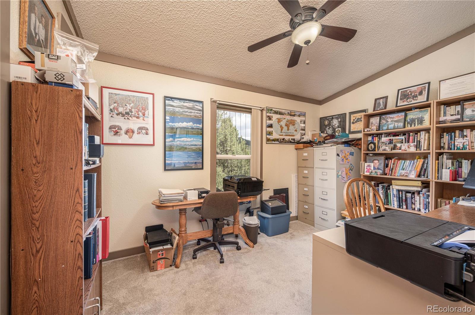 MLS Image #22 for 45  knight lane,cotopaxi, Colorado