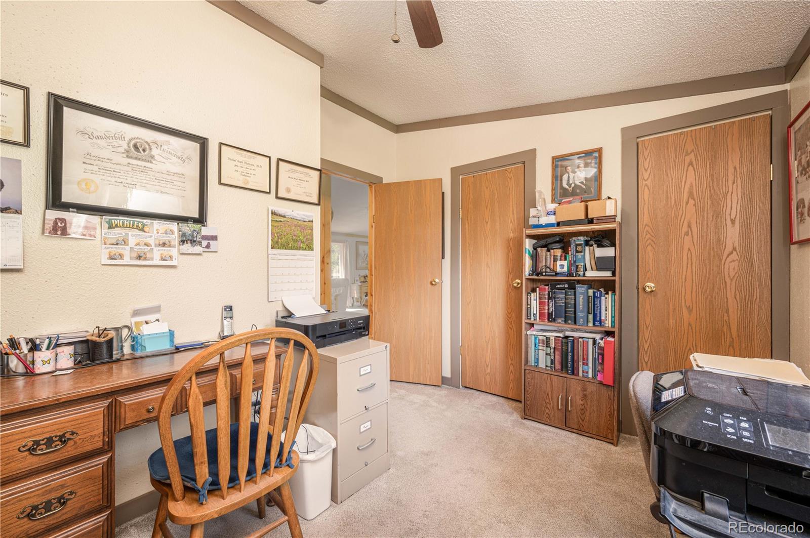 MLS Image #23 for 45  knight lane,cotopaxi, Colorado