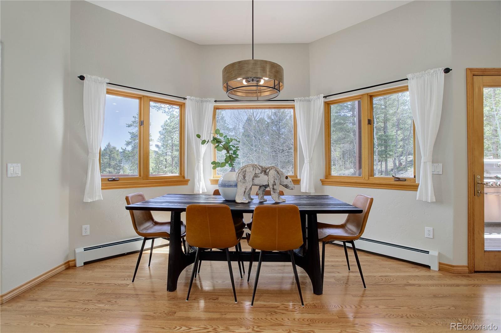 MLS Image #15 for 11525  conifer ridge drive,conifer, Colorado