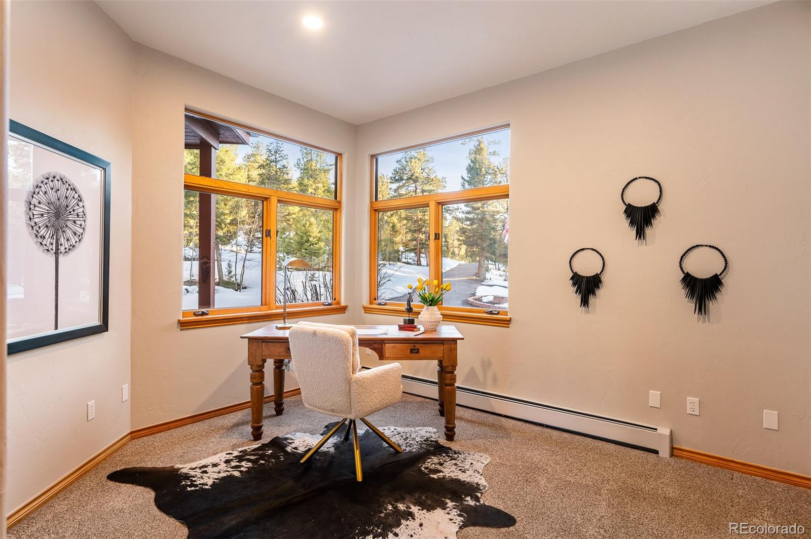 MLS Image #18 for 11525  conifer ridge drive,conifer, Colorado