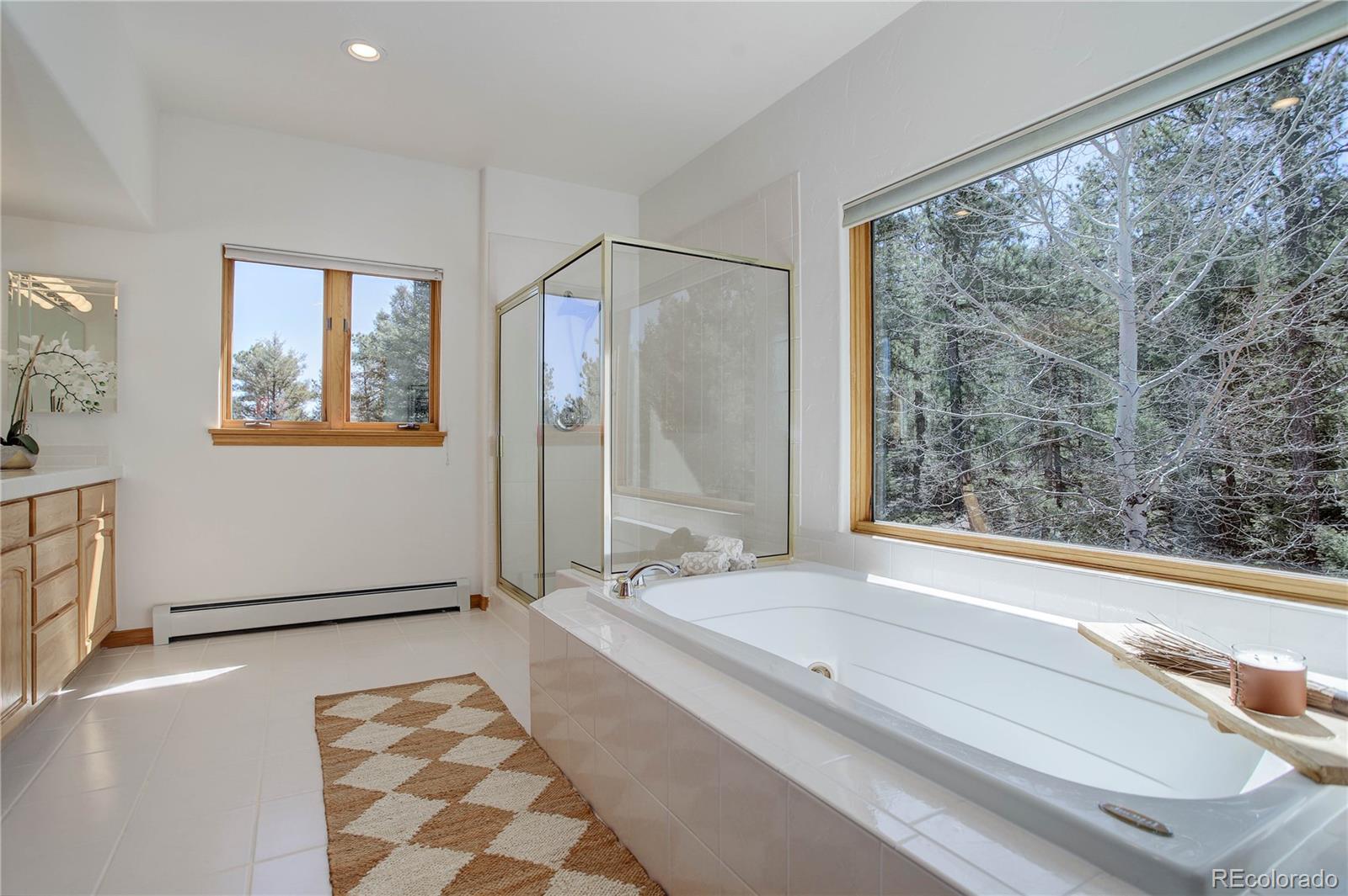 MLS Image #27 for 11525  conifer ridge drive,conifer, Colorado