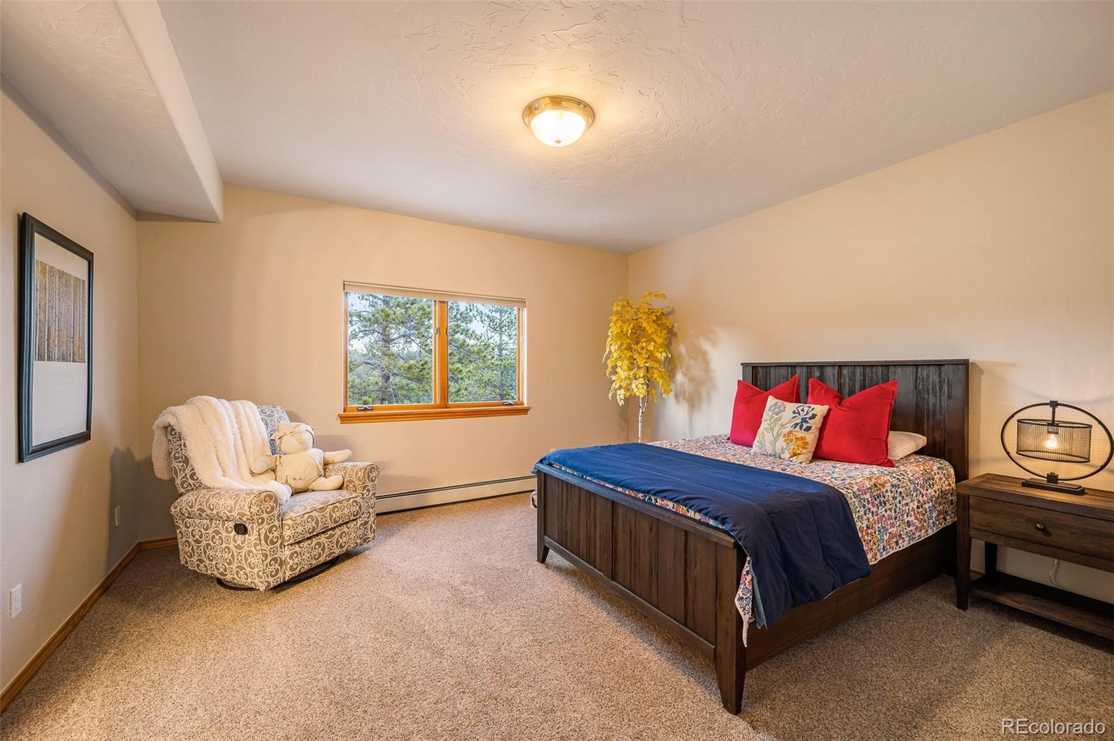 MLS Image #29 for 11525  conifer ridge drive,conifer, Colorado