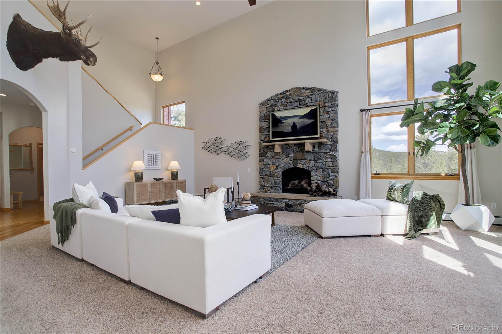 MLS Image #7 for 11525  conifer ridge drive,conifer, Colorado