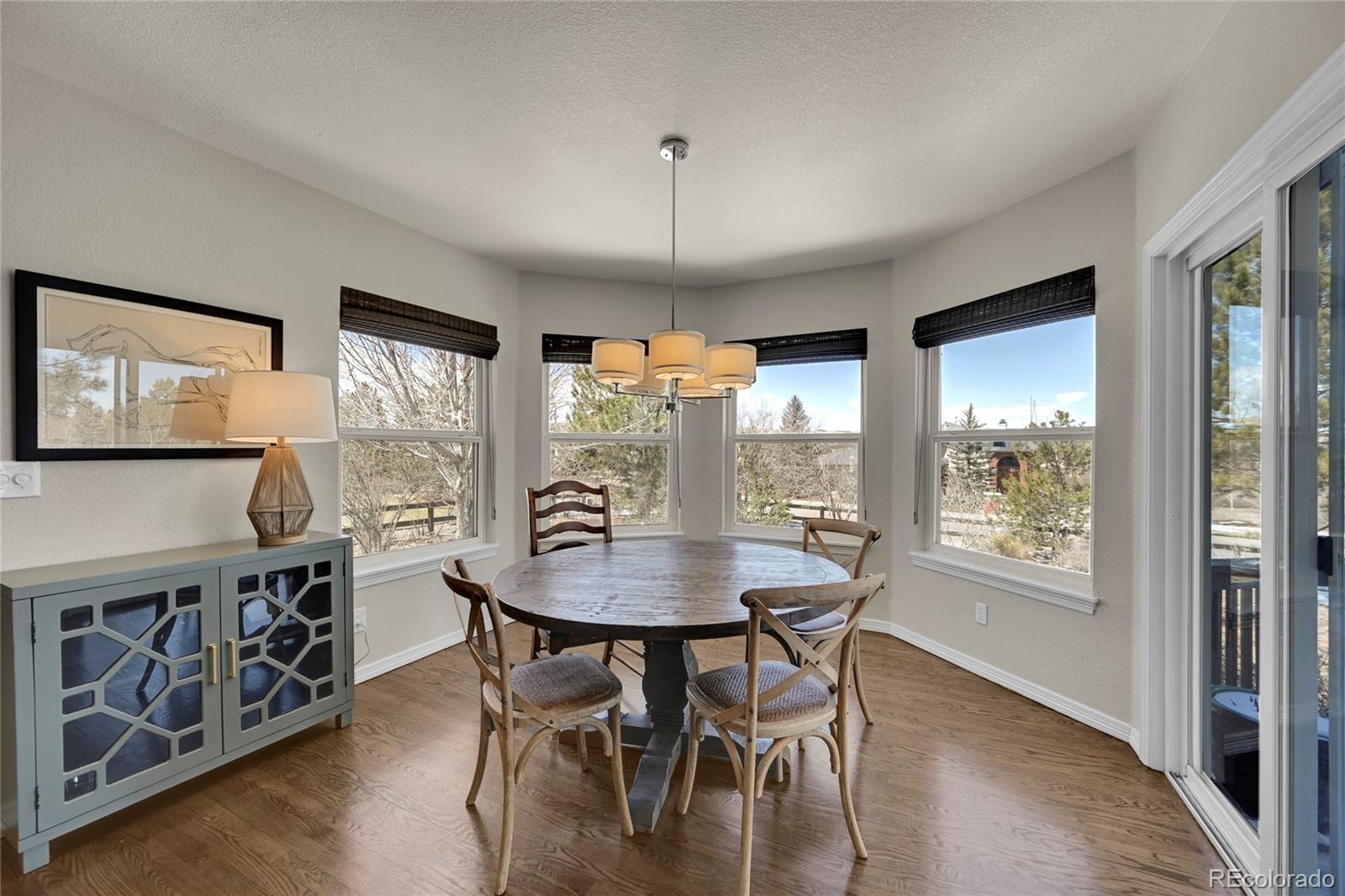 MLS Image #8 for 423  thorn apple way,castle pines, Colorado