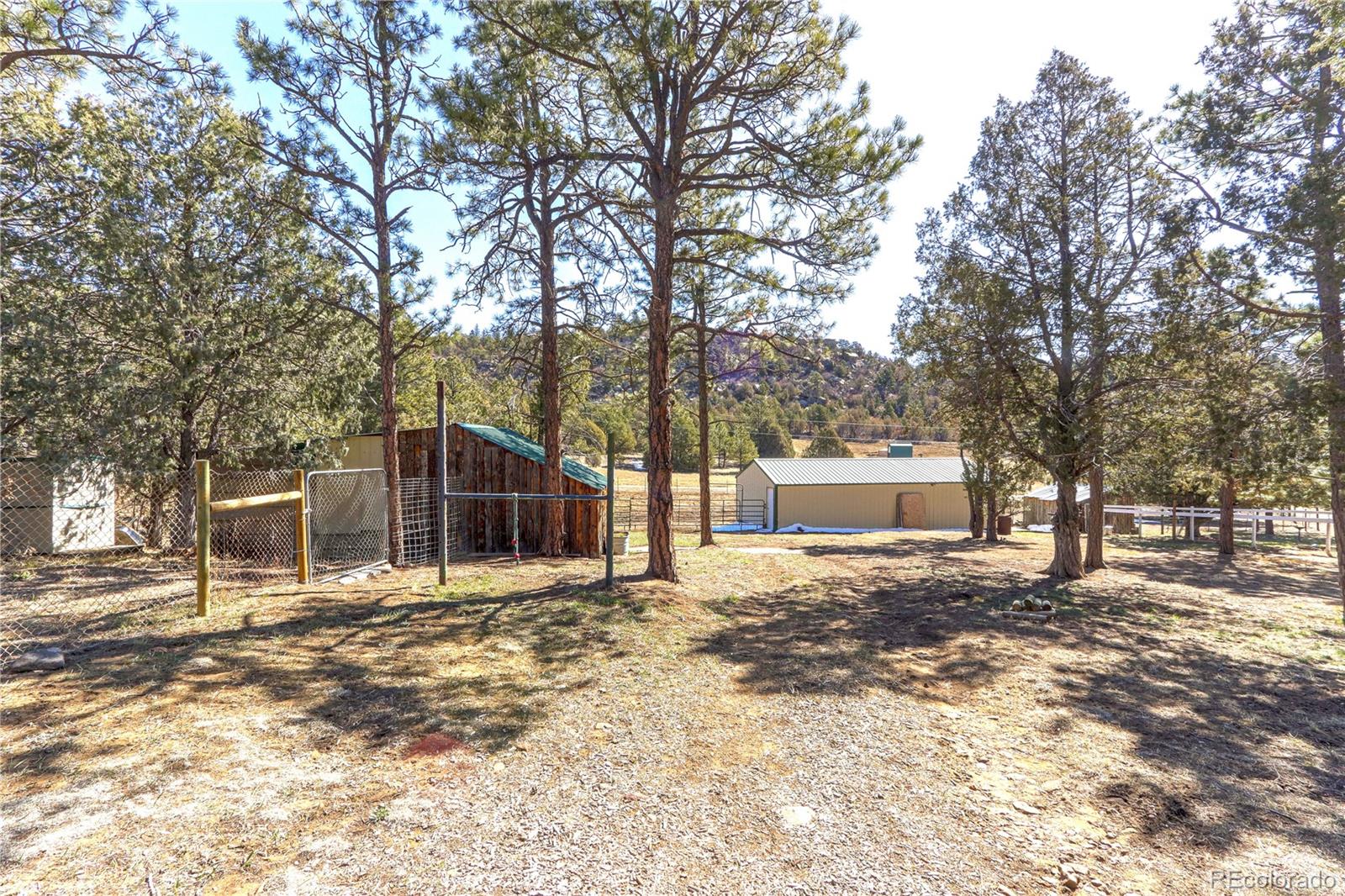 MLS Image #20 for 16177  mannel drive,boncarbo, Colorado