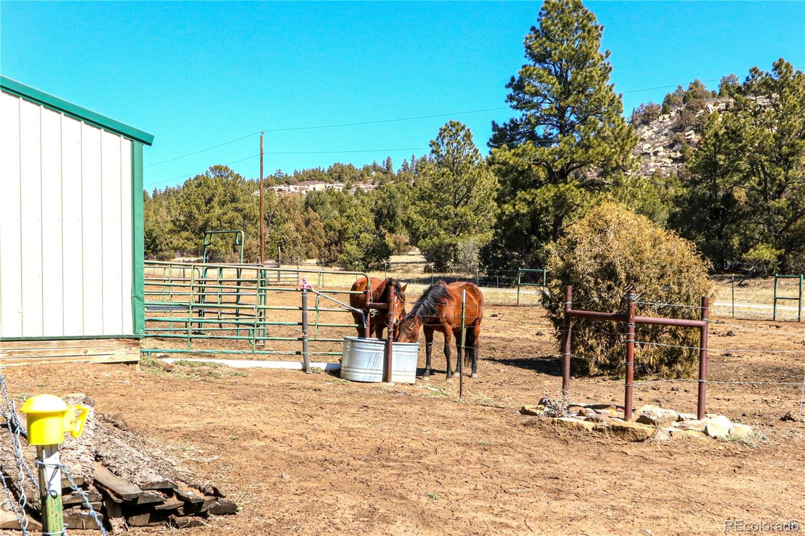 MLS Image #42 for 16177  mannel drive,boncarbo, Colorado