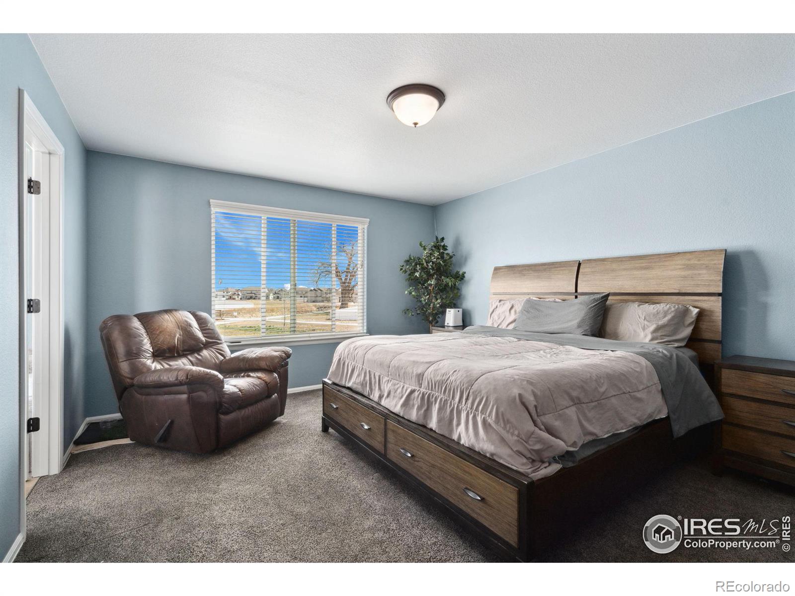 MLS Image #12 for 652  park edge circle,windsor, Colorado