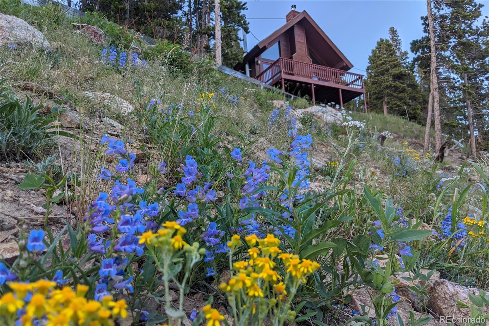 MLS Image #26 for 325  nebraska drive,idaho springs, Colorado