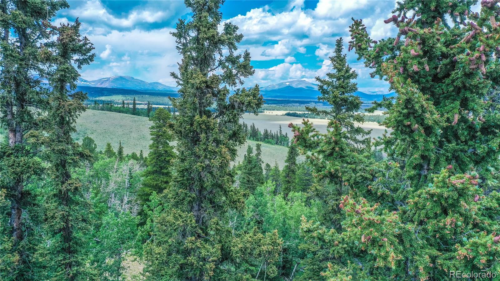 MLS Image #5 for 271  sheep ridge road,fairplay, Colorado