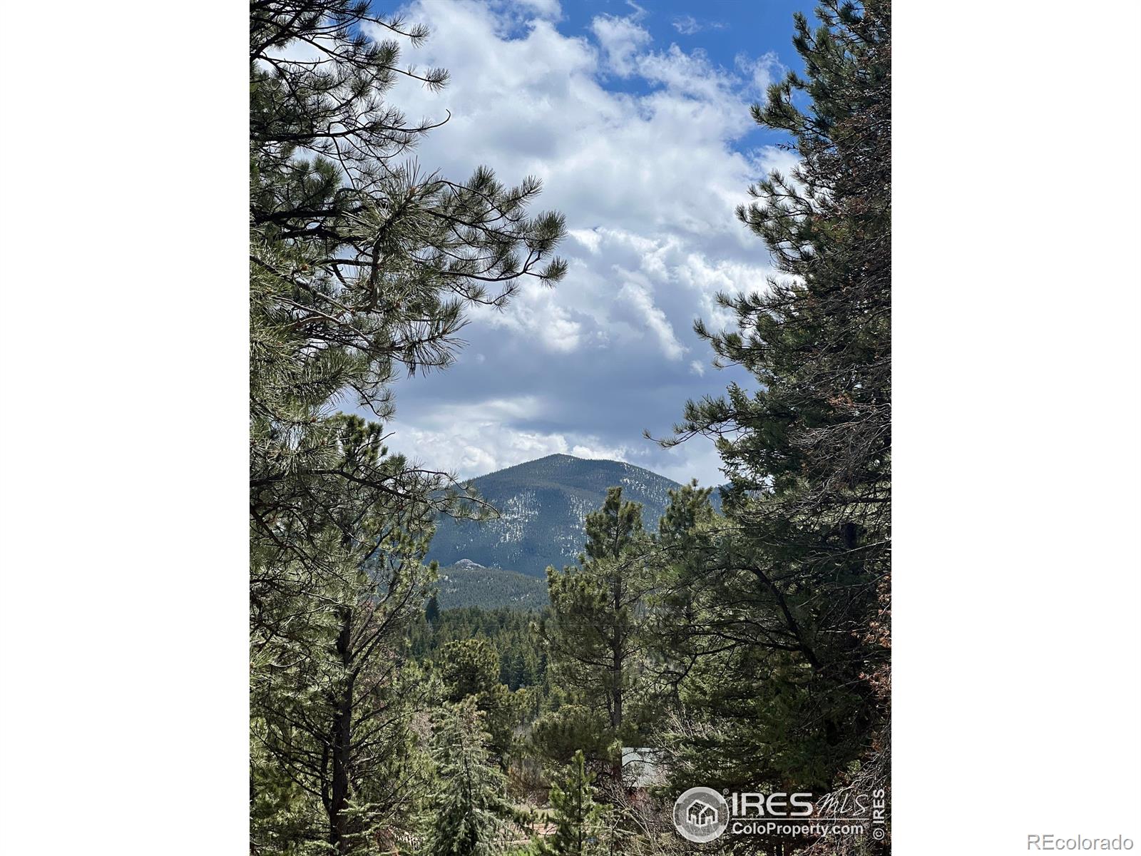 MLS Image #35 for 1507  lazy z road,nederland, Colorado