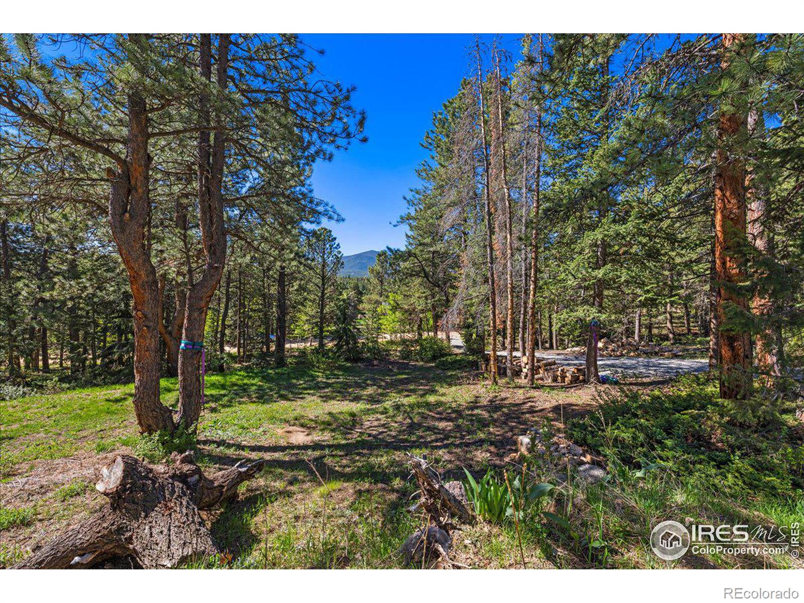 MLS Image #37 for 1507  lazy z road,nederland, Colorado