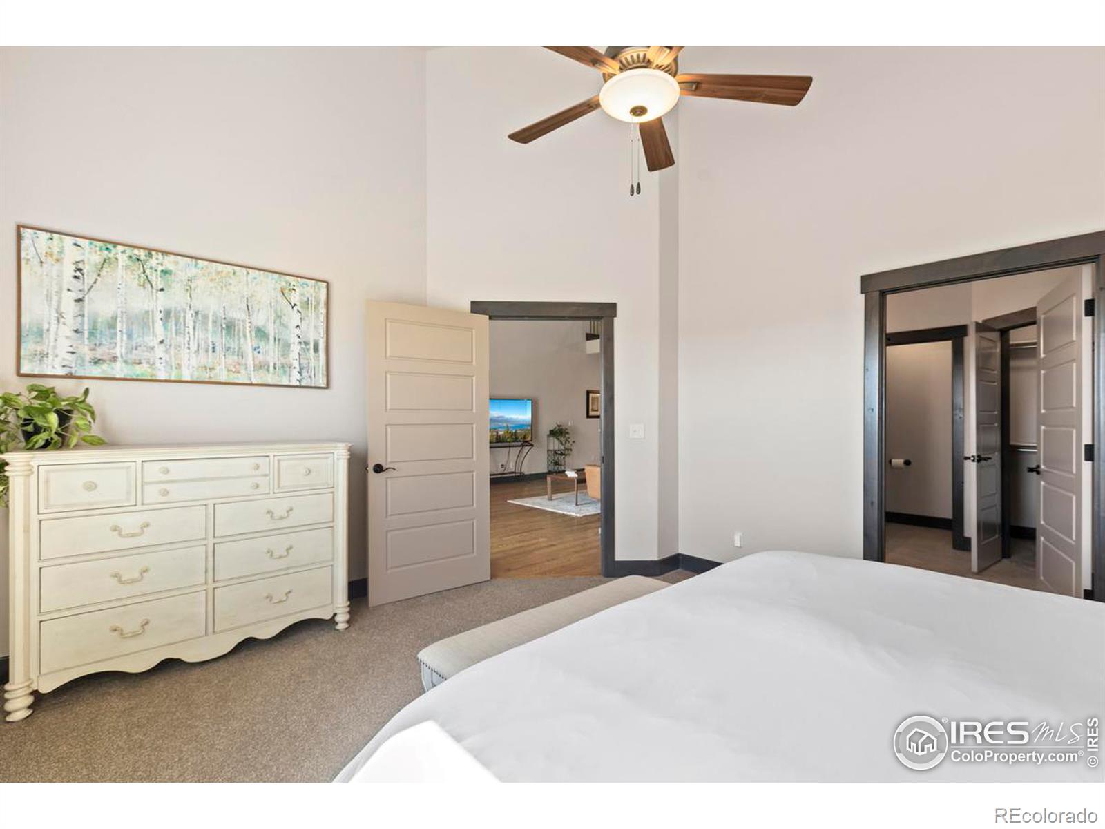 MLS Image #13 for 3948  avenida del sol drive,loveland, Colorado