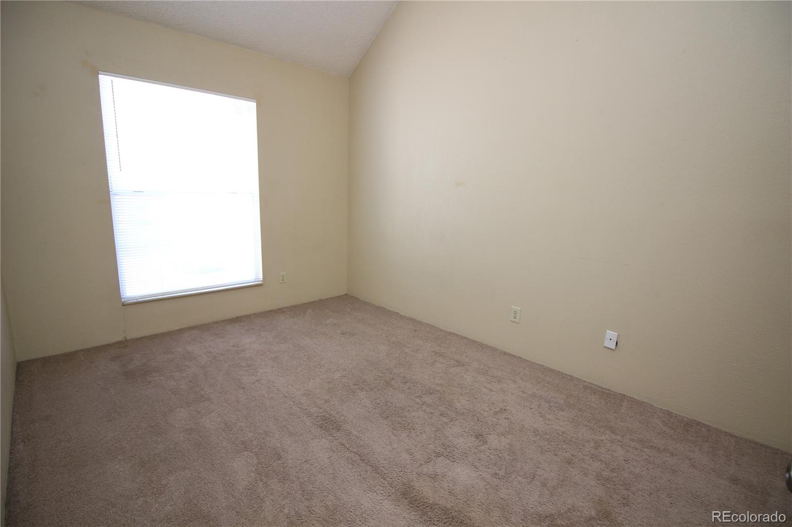 MLS Image #14 for 3250  van teylingen drive,colorado springs, Colorado