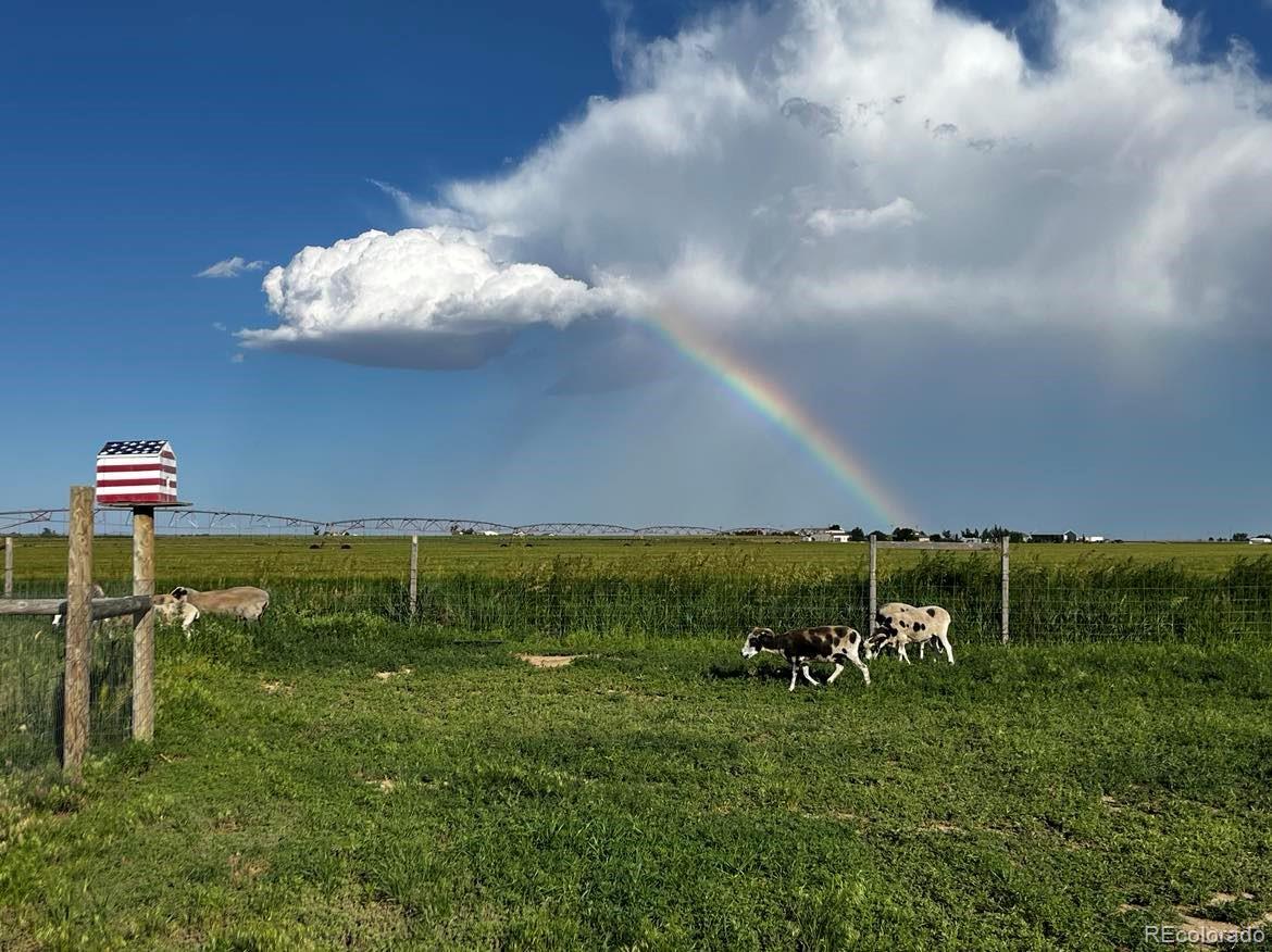 MLS Image #30 for 3398  county road 67 ,keenesburg, Colorado