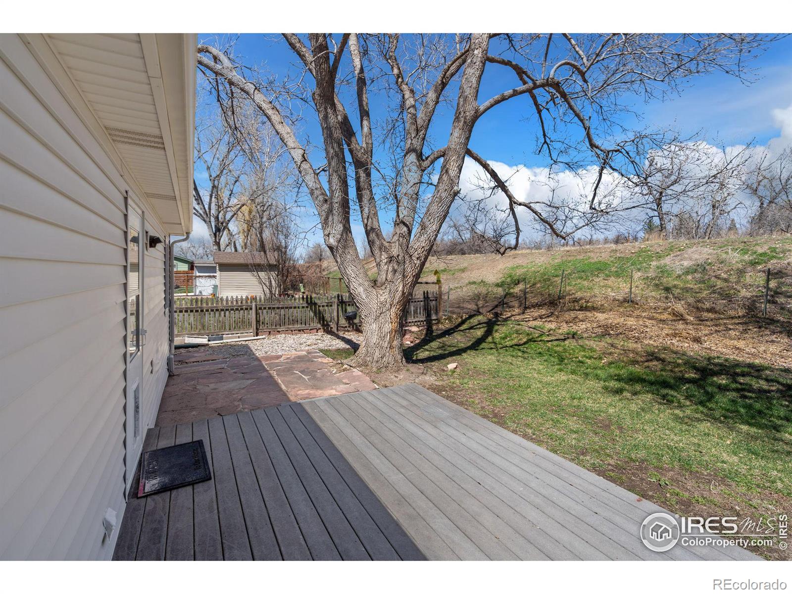 MLS Image #19 for 2800  alan street,fort collins, Colorado