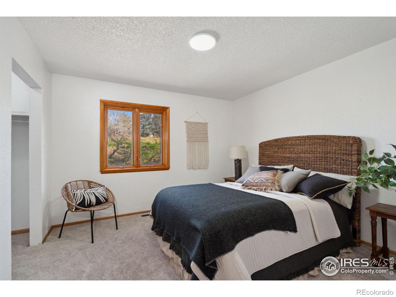 MLS Image #9 for 2800  alan street,fort collins, Colorado