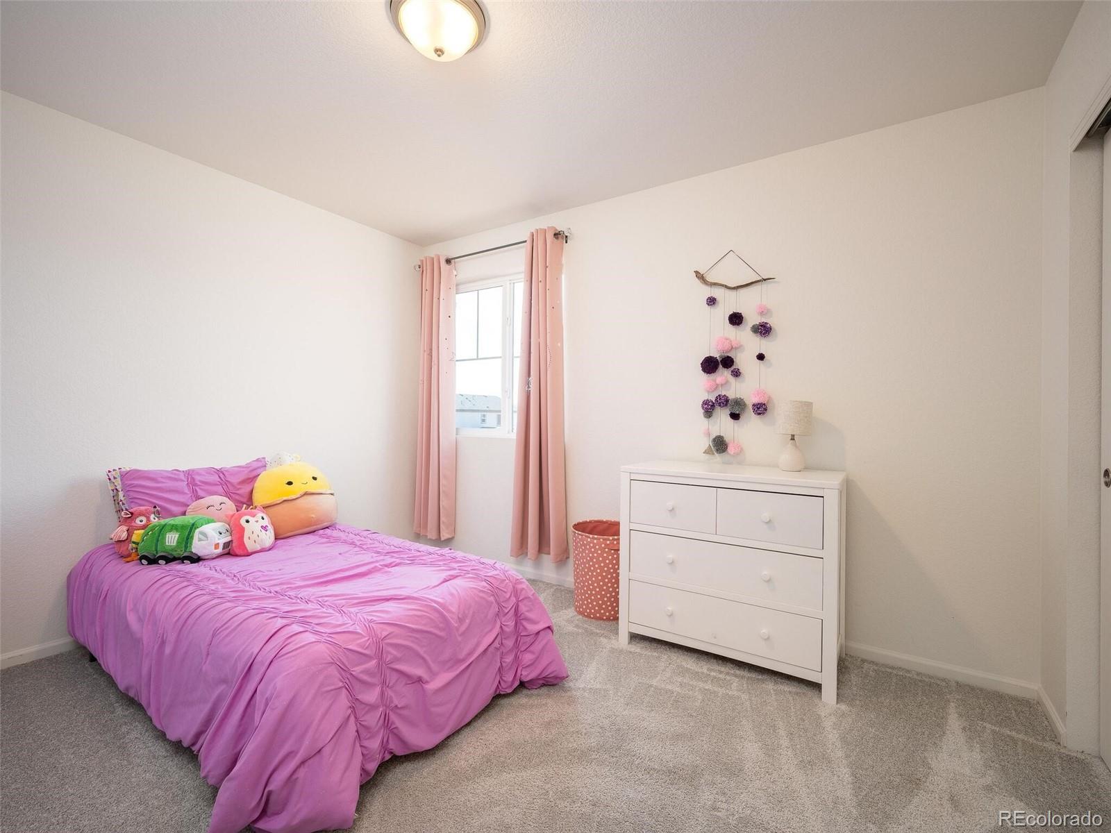 MLS Image #25 for 17268 e 103rd place,commerce city, Colorado