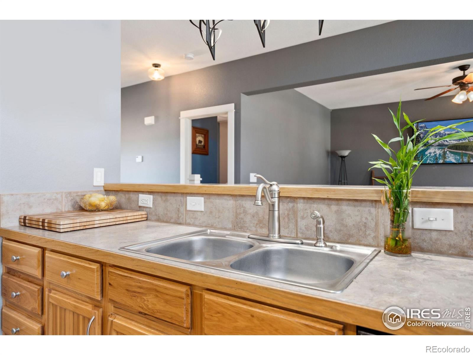 MLS Image #12 for 1086  mahogany way,severance, Colorado