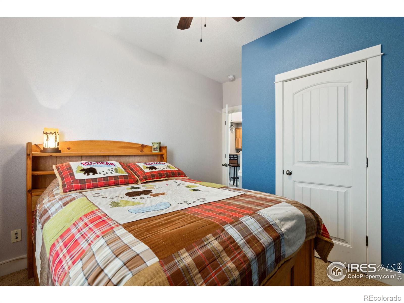 MLS Image #20 for 1086  mahogany way,severance, Colorado