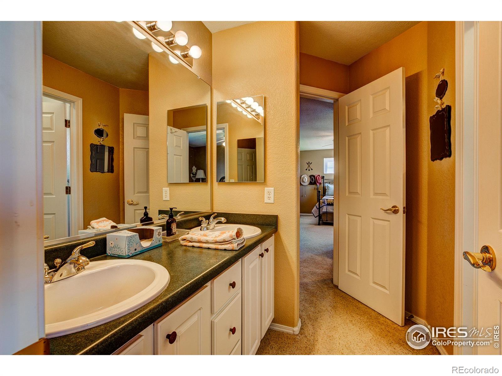 MLS Image #25 for 1344  forrestal drive,fort collins, Colorado