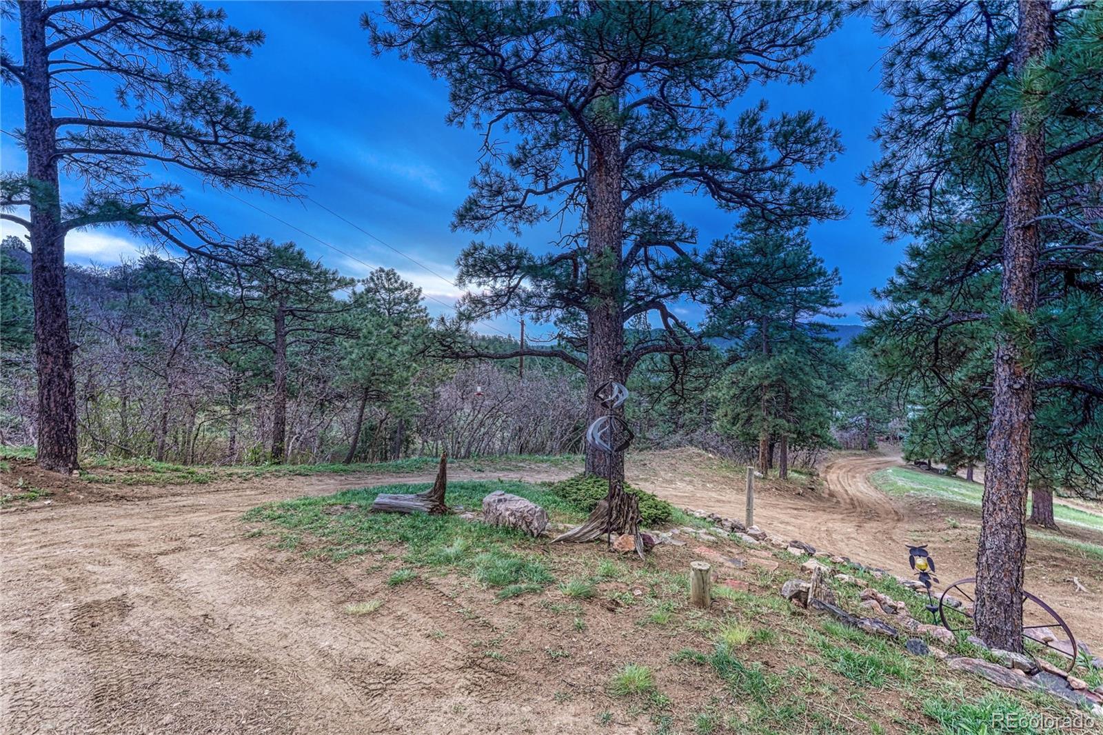 MLS Image #43 for 9310 s watson gulch road,littleton, Colorado