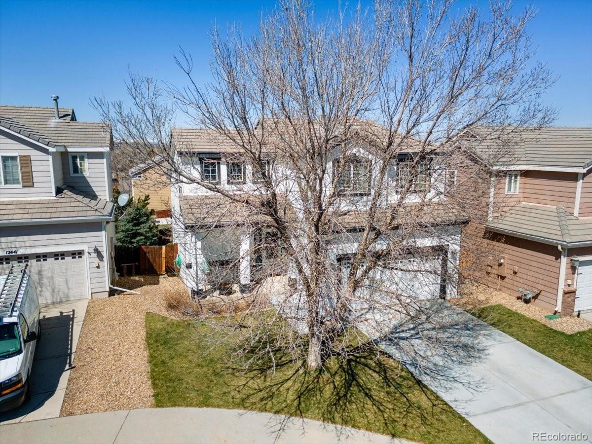 MLS Image #3 for 12431 s hollow creek court,parker, Colorado