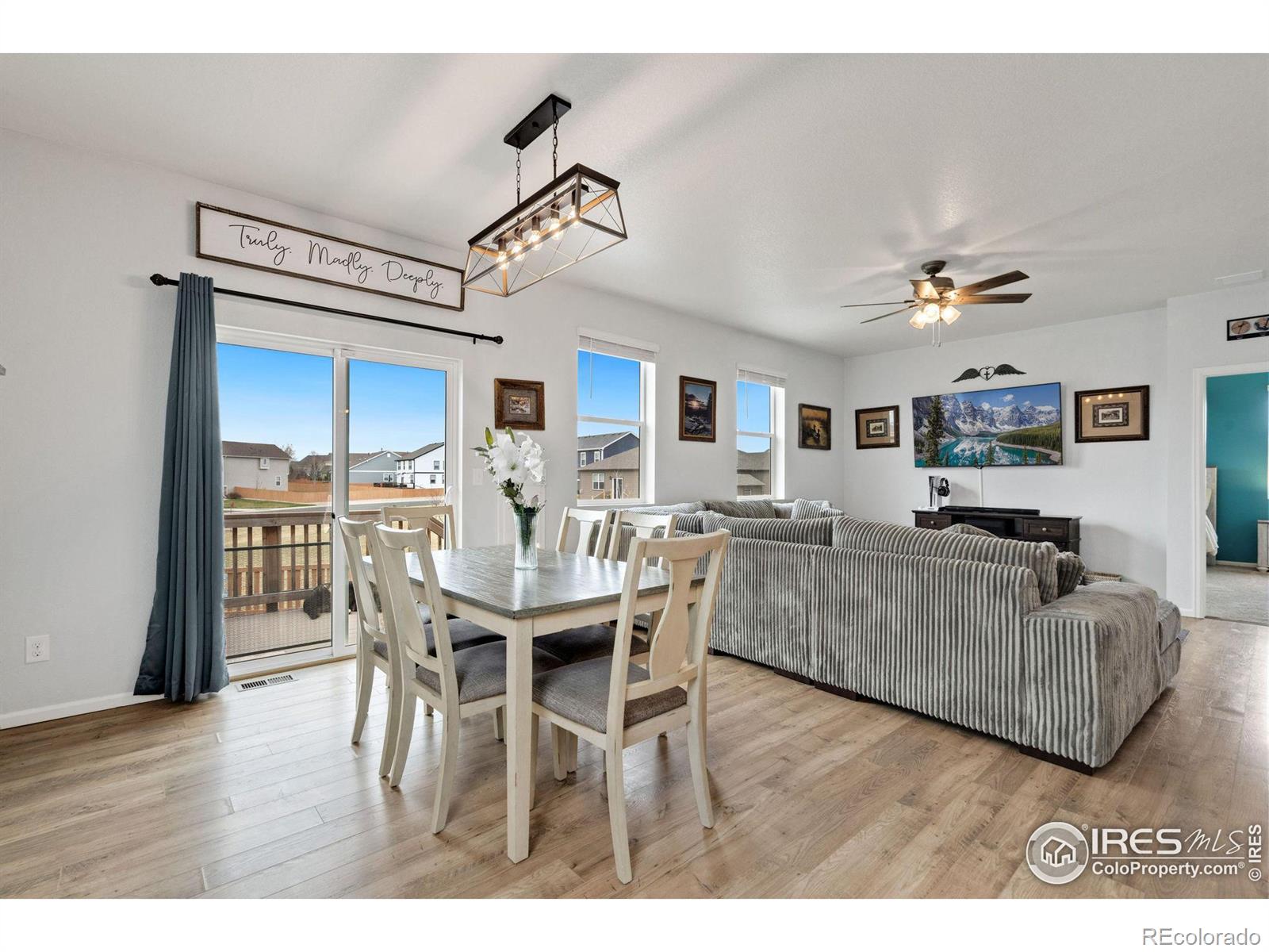 MLS Image #10 for 1669  gratton court,windsor, Colorado