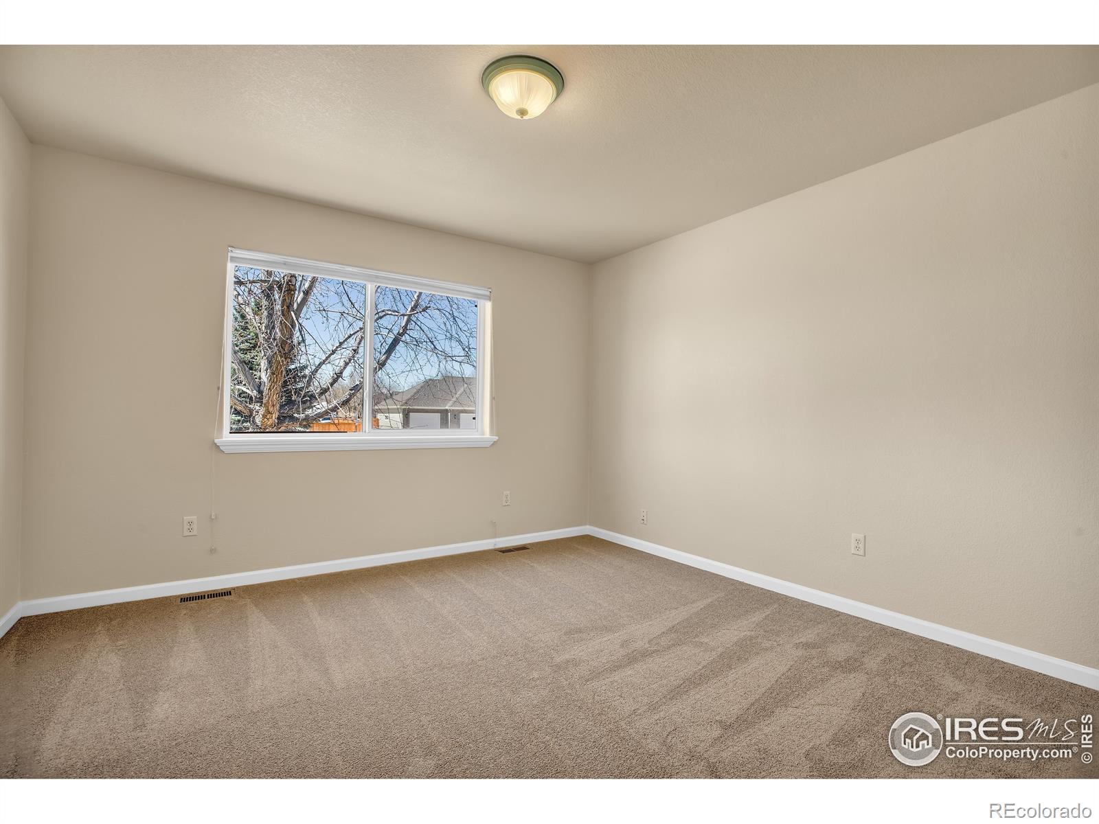 MLS Image #21 for 2152  burbank street,berthoud, Colorado