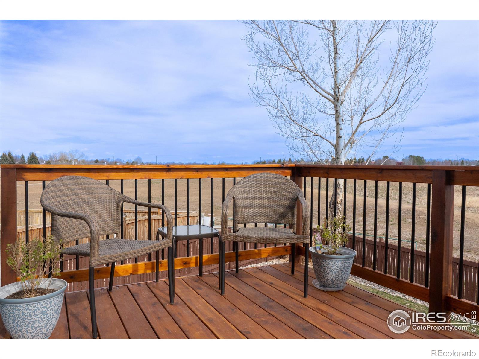 MLS Image #3 for 3100  williamsburg street,loveland, Colorado