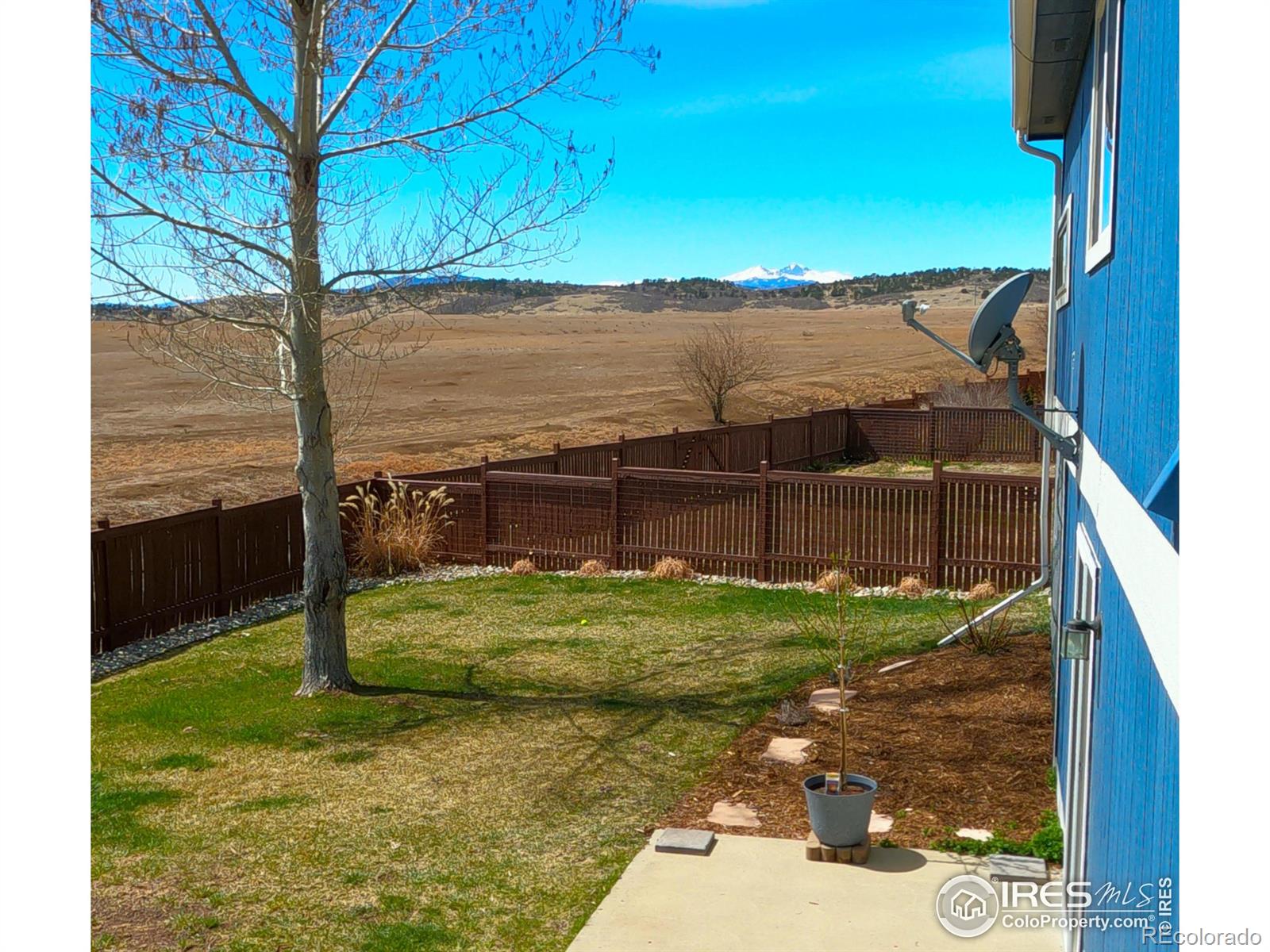 MLS Image #4 for 3100  williamsburg street,loveland, Colorado