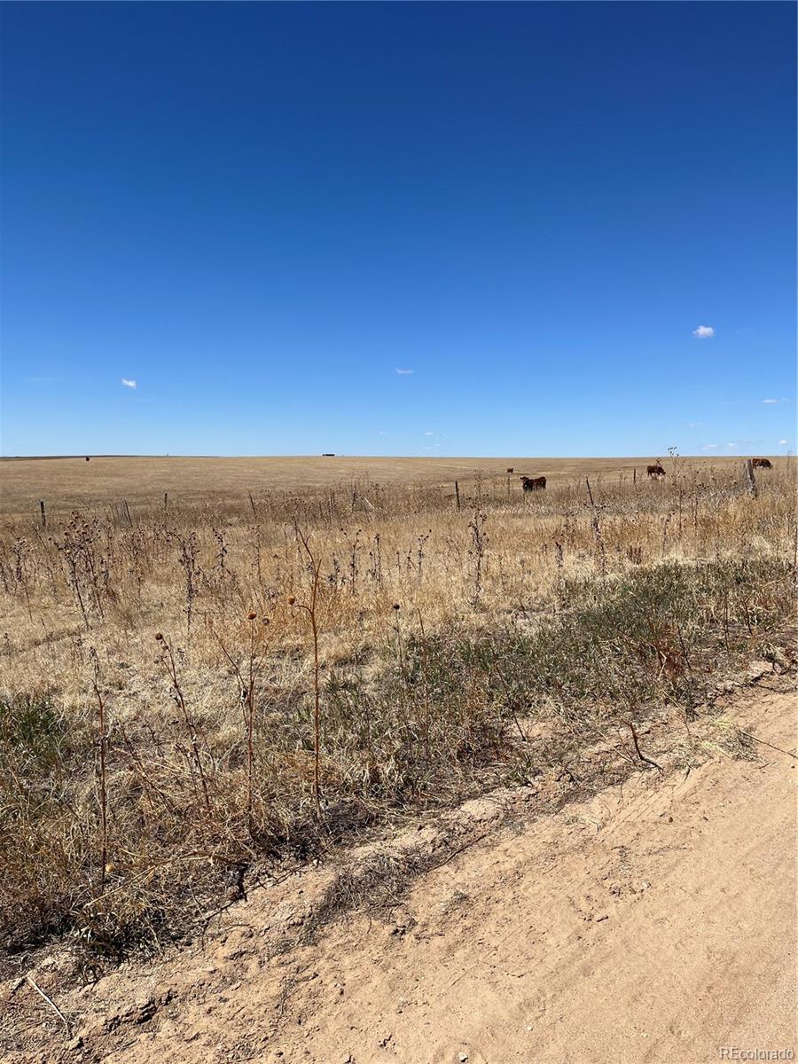 MLS Image #33 for 8183  county road 2a ,rush, Colorado