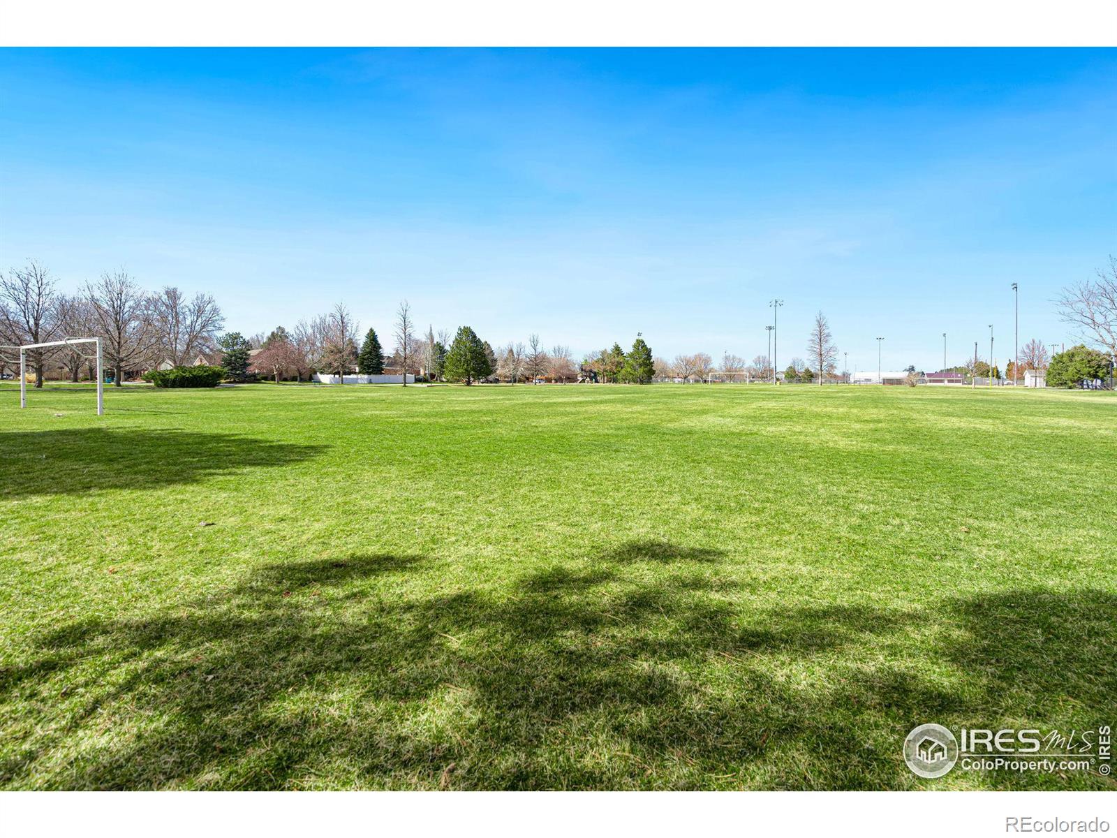 MLS Image #36 for 821  longview avenue,berthoud, Colorado