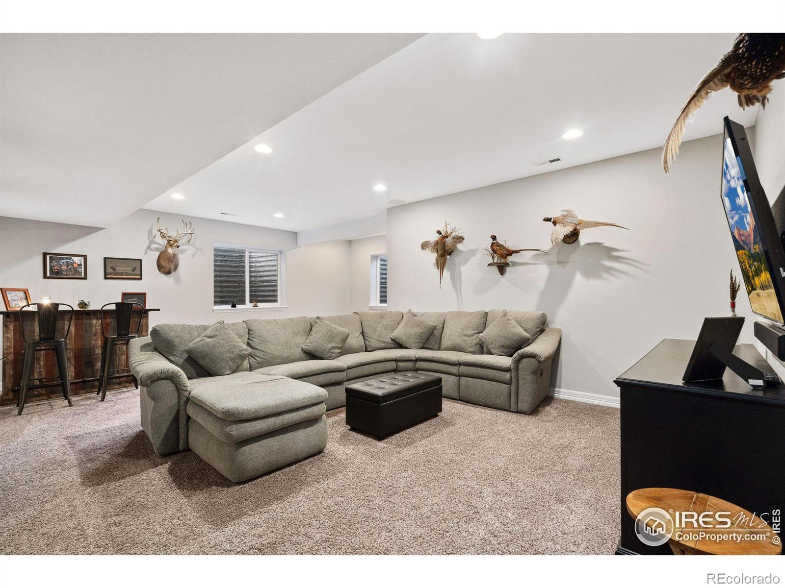 MLS Image #19 for 4163  pennycress drive,johnstown, Colorado