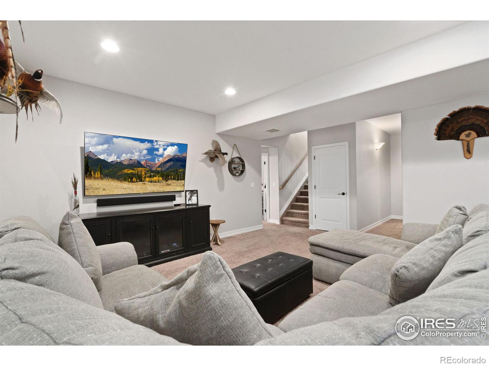 MLS Image #20 for 4163  pennycress drive,johnstown, Colorado