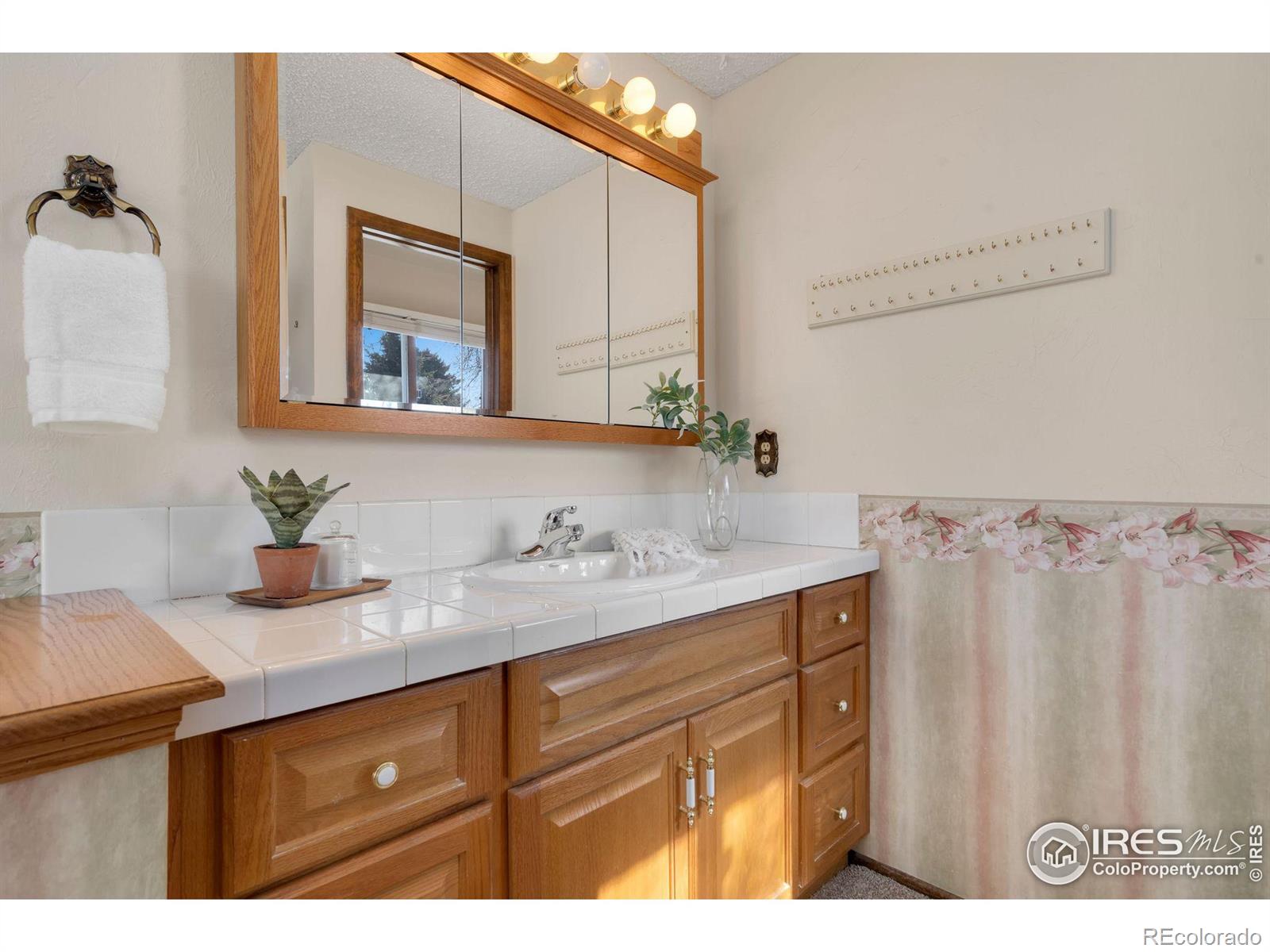 MLS Image #19 for 2514  logan drive,loveland, Colorado