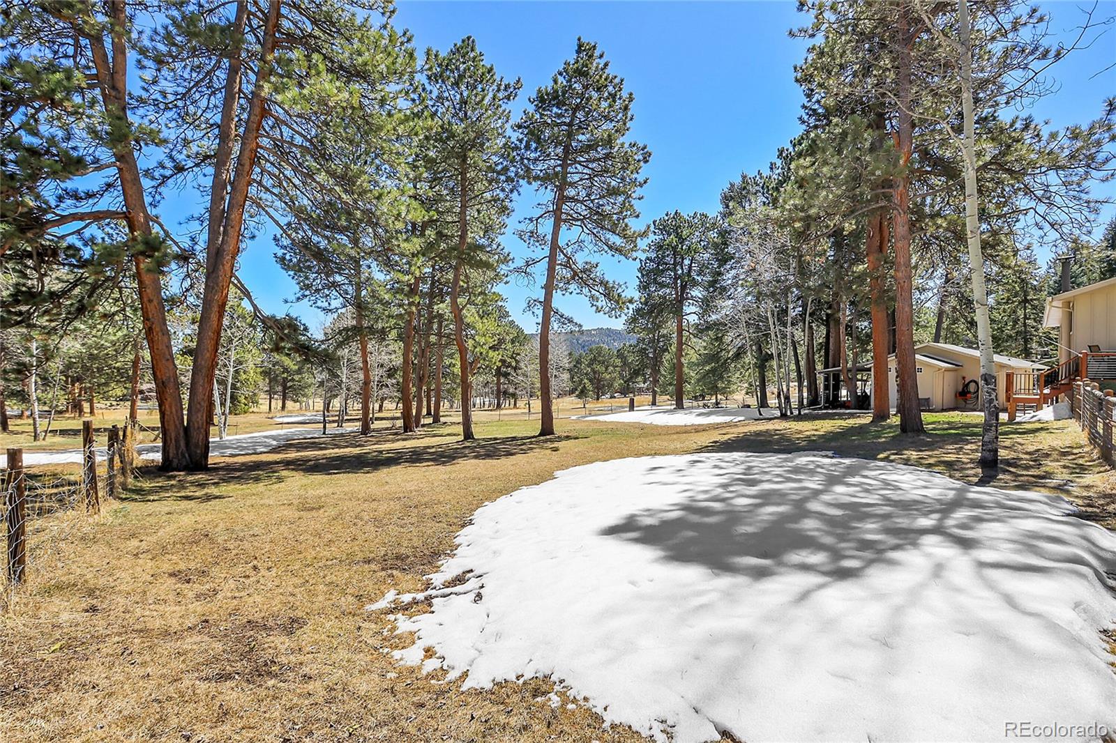 MLS Image #37 for 7834  native dancer trail,evergreen, Colorado